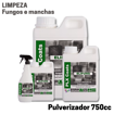 PLXCOATS Limpeza fungos elifung